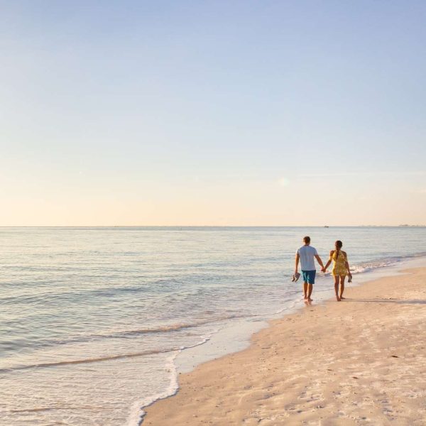 buyers-agent-services-northern-beaches